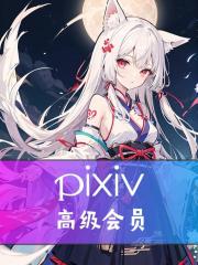 Pixiv高级会员3个月【代充】